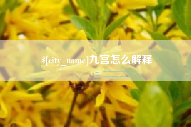 平阳九宫怎么解释