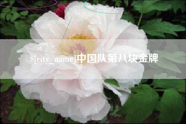 平阳中国队第八块金牌