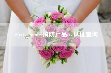 平阳消防产品ccc认证查询