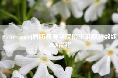 平阳消防救援学院招生录取分数线2020福建