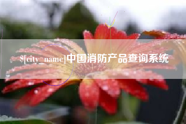 平阳中国消防产品查询系统