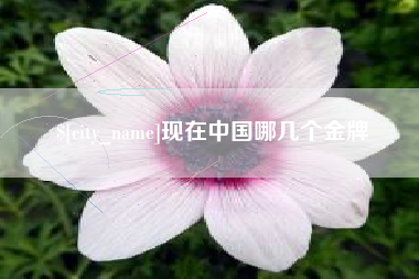 平阳现在中国哪几个金牌