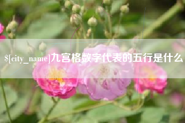平阳九宫格数字代表的五行是什么