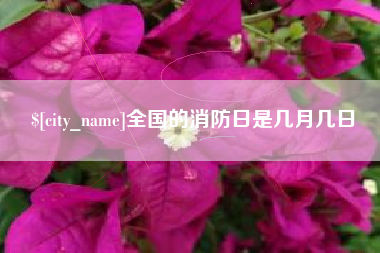 平阳全国的消防日是几月几日