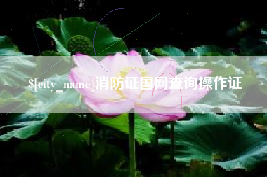平阳消防证国网查询操作证