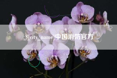 平阳中国消防官方