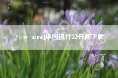 平阳中国执行公开网下载