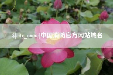 平阳中国消防官方网站域名
