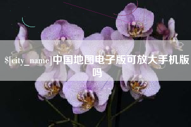 平阳中国地图电子版可放大手机版吗