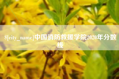 平阳中国消防救援学院2020年分数线