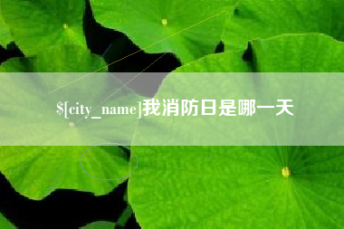 平阳我消防日是哪一天