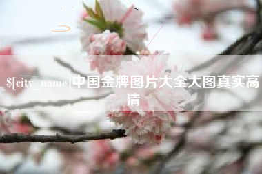 平阳中国金牌图片大全大图真实高清