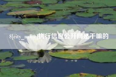 平阳执行信息公开网是干嘛的