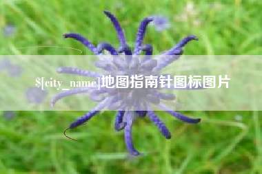 平阳地图指南针图标图片