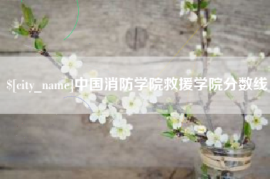 平阳中国消防学院救援学院分数线