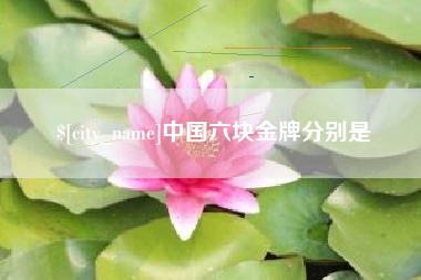 平阳中国六块金牌分别是