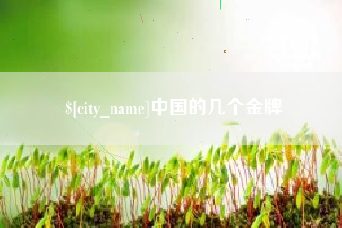 平阳中国的几个金牌