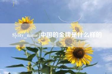 平阳中国的金牌是什么样的