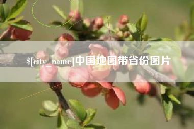 平阳中国地图带省份图片