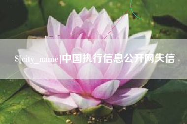 平阳中国执行信息公开网失信