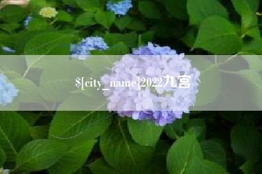 平阳2022九宫