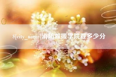 平阳消防救援学院要多少分