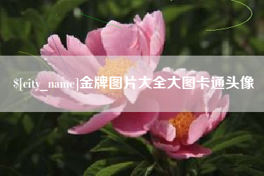 平阳金牌图片大全大图卡通头像