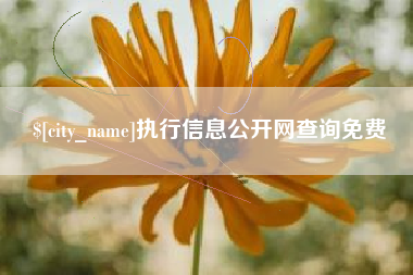 平阳执行信息公开网查询免费