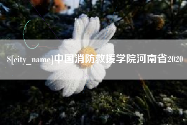平阳中国消防救援学院河南省2020